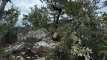 shintagatake202510_0739