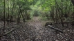 sobagatake202510_0785
