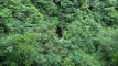 nichira_shuraku202505_0316
