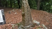 atagoyama202506_0398