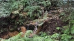 sobagatake202510_0771