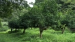 potsunto_202509_0681