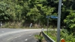 tanemuracho202508_0590