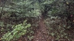 shintagatake202510_0760