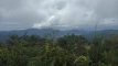 shintagatake202510_0755