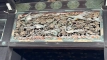 kyoto202506_0430