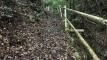 shintagatake202510_0734
