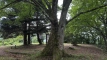 futatsuyamajyoato202507_0557