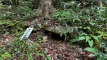 kogoroyama202505_0215