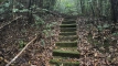 shintagatake202510_0735
