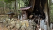 atagoyama202506_0393