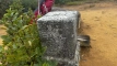 shintagatake202510_0757