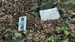 kogoroyama202505_0214
