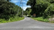 tanemuracho202508_0588