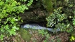nichira_shuraku202505_0322
