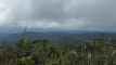 shintagatake202510_0754