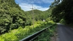 tanemuracho202508_0580