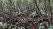 shintagatake202510_0745