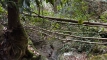 takabagatake_monomigatake202501_9809