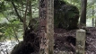 sandankyo202510_0720