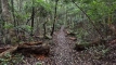 shintagatake202510_0733