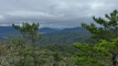 shintagatake202510_0741