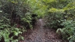 shintagatake202510_0731