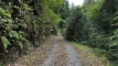 potsunto_202509_0667