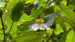 atagoyama202506_0425