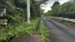 shintagatake202510_0761