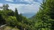 atagoyama202506_0402