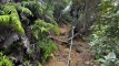 shintagatake202510_0748