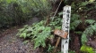 shintagatake202510_0732