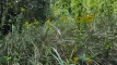 sobagatake202510_0767