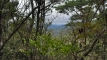 shintagatake202510_0738