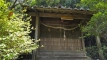 tanemuracho202508_0583