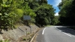 tanemuracho202508_0589