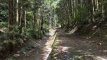 tanemuracho202508_0597