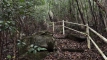shintagatake202510_0737