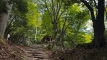 atagoyama202506_0396